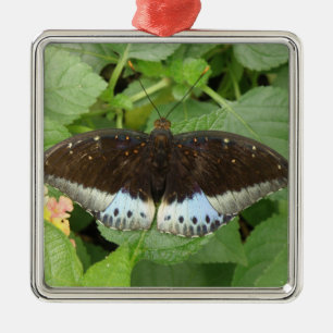 Hübsche tropische Schmetterlingsdekoration Ornament Aus Metall