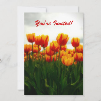 Hübsche Tulips-Party Einladung