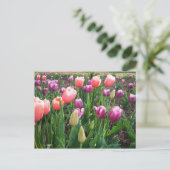 Hübsche Tulips Postkarte (Stehend Vorderseite)