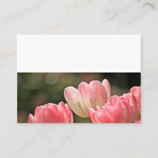 hübsche Tulpen Blume Visitenkarte (Rückseite)