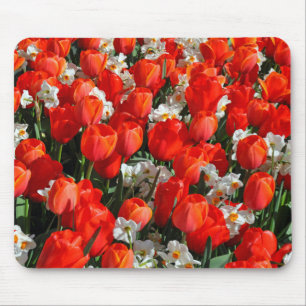 Hübsche Tulpen und Narzissen Mousepad