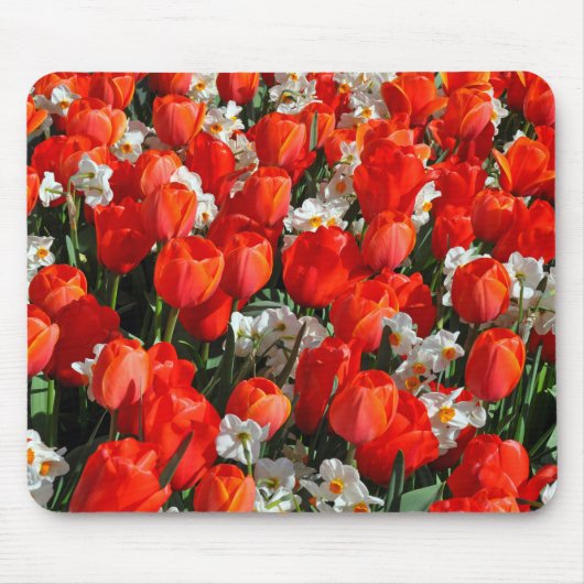 Hübsche Tulpen und Narzissen Mousepad (Vorne)