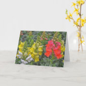 Hübsche und farbenfrohe Snapdragon Blume Art Karte (Gelbe Blume)