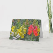 Hübsche und farbenfrohe Snapdragon Blume Art Karte (Vorderseite)