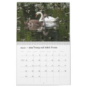 Hübsche und Niedliche Wildtiere für Kinder #3 Kalender (Mär 2026)