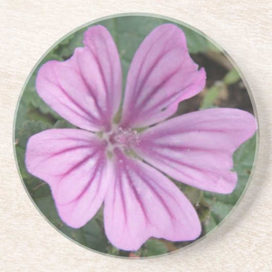 Hübsche Untersetzer Lila Wildblume (Vorne)
