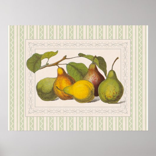 Hübsche Viktorianische Darstellung von Birnen Poster (Vorne)