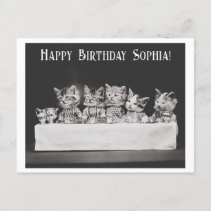 Hübsche Vintage-Katzen-Geburtstags-Teeparty  Postkarte