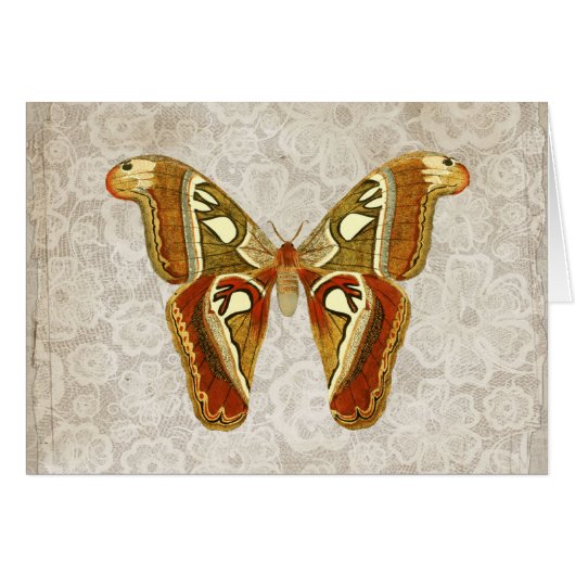 Hübsche Vintage Moth Botanic Grußkarte (Vorderseite (Horizontal))