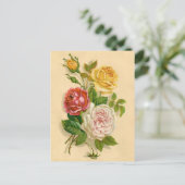 Hübsche Vintage Rose Postkarte (Stehend Vorderseite)