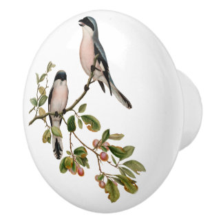 Hübsche Vintage-Vögel im Beerenbaum Keramikknauf