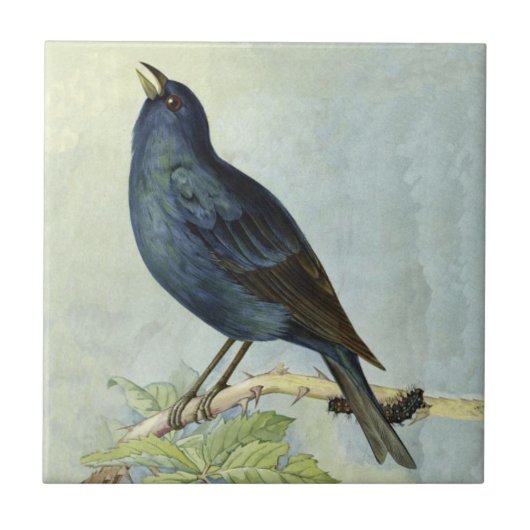 Hübsche Vintage Vogelzweigung mit Raupe Fliese (Vorderseite)