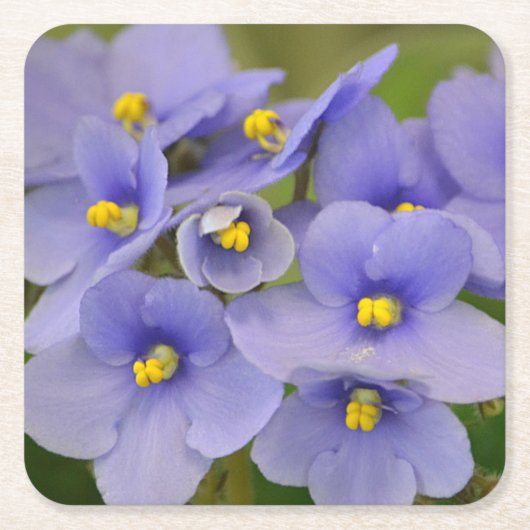 Hübsche Violets Party Untersetzer (Vorderseite)