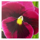 Hübsche Violette Stiefmütterchen-Blumen Fliese (Vorderseite)