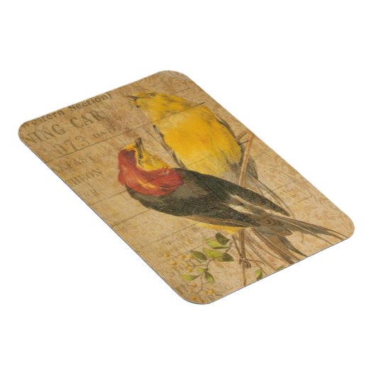 Hübsche Vögel Magnet (Rechte Seite)