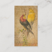Hübsche Vögel Visitenkarte (Rückseite)