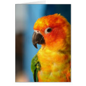 Hübsche Vogelfarbenleere Grubenkarte (Vorne)