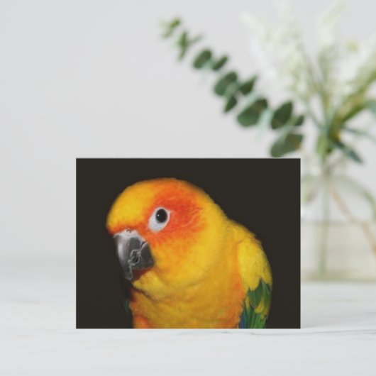 Hübsche Vogelpostkarte Postkarte (Stehend Vorderseite)