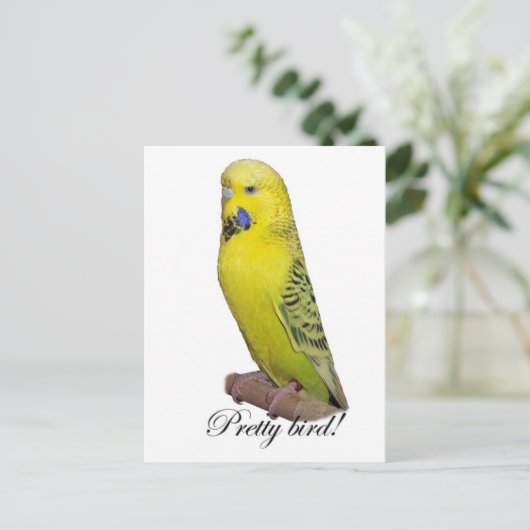 Hübsche Vogelpostkarte Postkarte (Stehend Vorderseite)