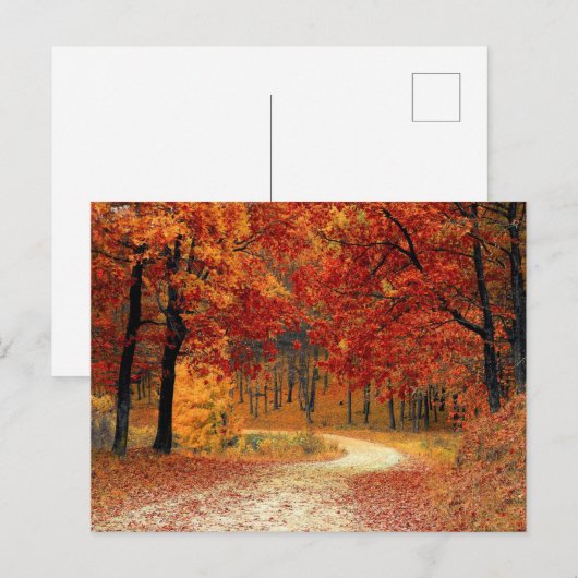 Hübsche Waldpostkarte Postkarte (Vorne/Hinten)