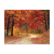 Hübsche Waldpostkarte