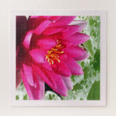 Hübsche Wasserlilie Puzzle (Horizontal)