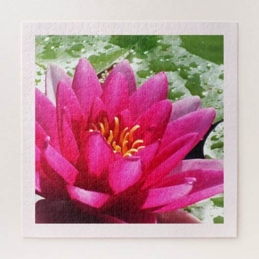 Hübsche Wasserlilie Puzzle (Vertikal)