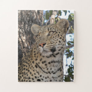 HÜBSCHE WEIBLICHE LEOPARDIN NAHAUFNAHME PUZZLE