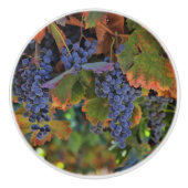 Hübsche Weinberge Weinberge und Weingärten Keramikknauf (Vorderseite)