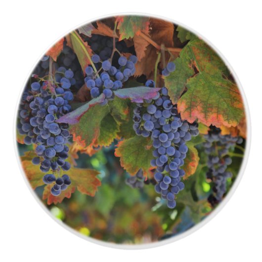 Hübsche Weinberge Weinberge und Weingärten Keramikknauf (Vorderseite)