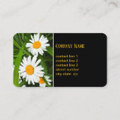 hübsche Weißbläsereien Blume Naturfotografie Visitenkarte (Rückseite)