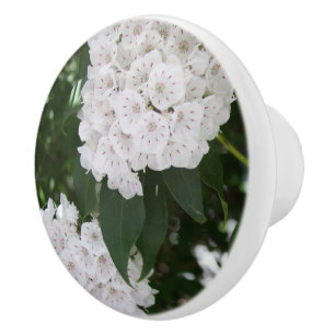 Hübsche weiße Berglorbeerblüten Keramikknauf