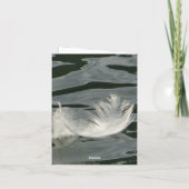 Hübsche weiße Feder (Rückseite)