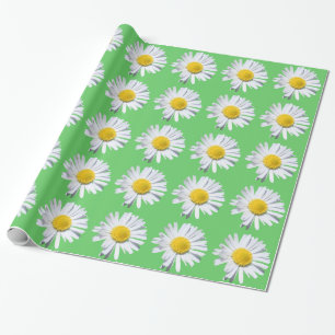 Hübsche weiße Gänseblümchen-Blume in grünem Feiert Geschenkpapier