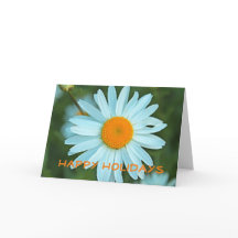 Hübsche weiße Gänseblümchen-Blume schöne Feiertage