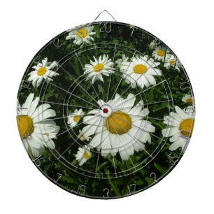 hübsche weiße Gänseblümchen. Dartscheibe