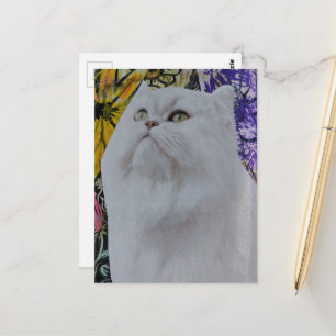Hübsche weiße Katze in Blumen Collage Postkarte