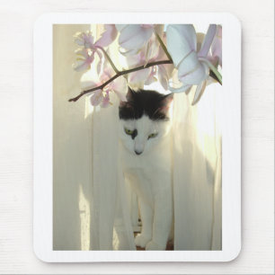 Hübsche weiße Katze Mousepad