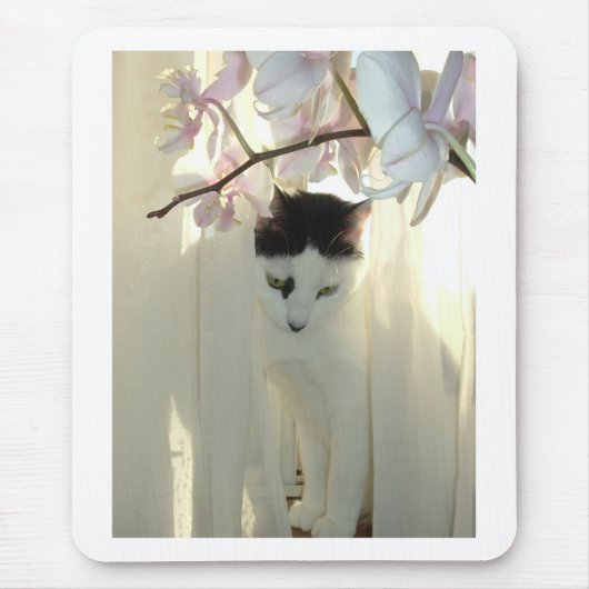 Hübsche weiße Katze Mousepad (Vorne)