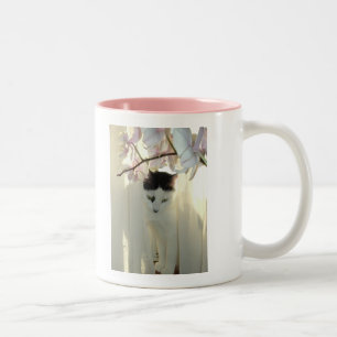 Hübsche weiße Katze Zweifarbige Tasse