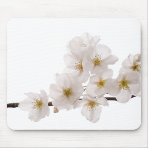 Hübsche weiße Kirschblüten-Mausunterlage Mousepad