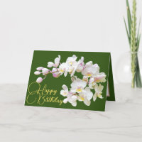 Hübsche Weiße Orchideen Grüner Hintergrund Happy B