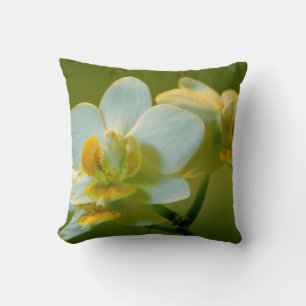 hübsche weiße Orchideenblüte in Grün. Blumengarten Kissen