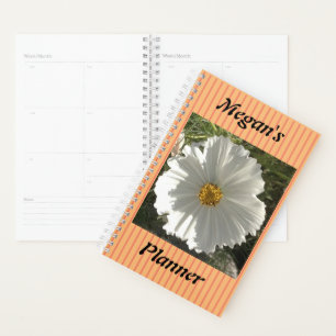Hübsche Weißkosmos-Blumenfotografie Planer