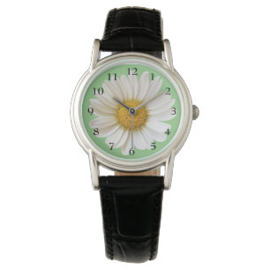 Hübsche White Daisy auf Sage Green Armbanduhr