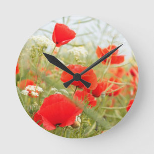 Hübsche Wiese der roten Mohnblumen Runde Wanduhr
