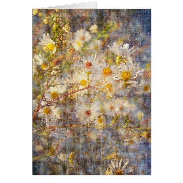 Hübsche Wildblume (Vorne)