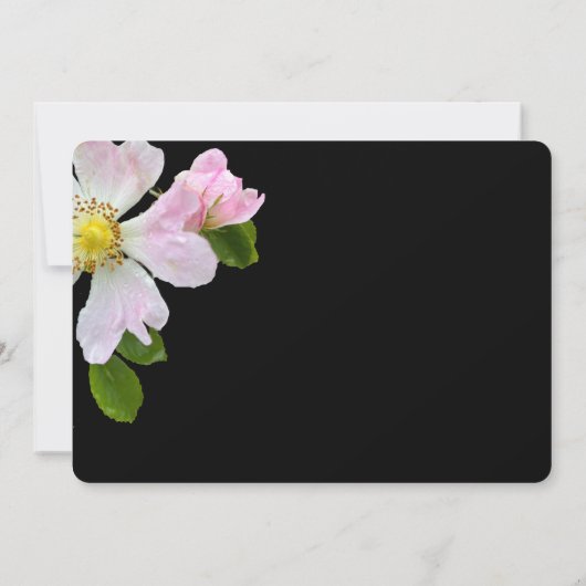 Hübsche Wilde Rose Beerdigung Dankeschön Karte (Rückseite)