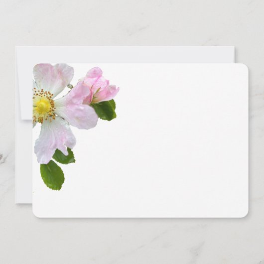 Hübsche Wilde Rose Beerdigung Dankeschön Karte (Rückseite)