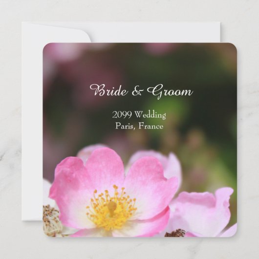 Hübsche wildrosa Rosa Blume Einladungen für Hochze (Rückseite)